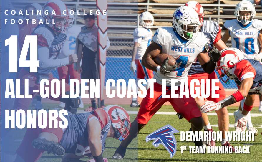 Falcons earn 14 All-Golden Coast League honors